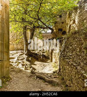 Ananuri est un complexe de châteaux situé sur la rivière Aragvi en Géorgie, à environ 72 kilomètres de Tbilissi. Banque D'Images