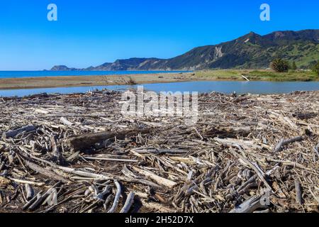 Une plage couverte de bois flotté blanchi, lavée à terre par des tempêtes, à la baie de Tokomaru, en Nouvelle-Zélande Banque D'Images