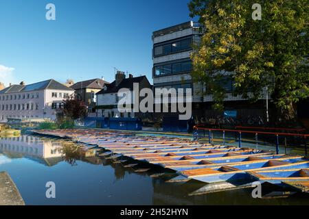 Punts amarrés sur la rivière Cam, Cambridge, Angleterre. Banque D'Images