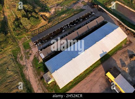 Bâtiments agricoles avec animaux de ferme.Bâtiment de stockage agricole avec vaches, poulet et porcs.Hay Barns en milieu rural.Élevage de cowshed et d'animaux.Ferme de Banque D'Images