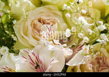 Bouquet de fleurs de rose et alstroemeria gros plan. Banque D'Images