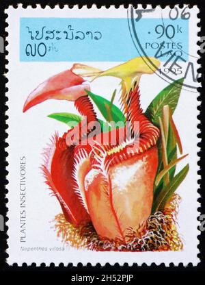 LAOS - VERS 1995: Un timbre imprimé au Laos montre la plante de pichet villeuse, nepenthes villosa, est une espèce de plante carnivore indigène au nord-est de la pa Banque D'Images