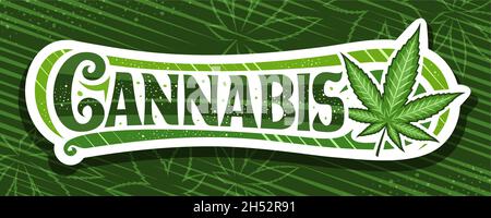 Bannière vectorielle pour le cannabis, panneau d'affichage horizontal avec illustration des feuilles de cannabis et des floriches décoratives, ajoutez le coupon avec un lettrage unique au pinceau Illustration de Vecteur