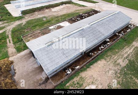 Bâtiments agricoles avec animaux de ferme.Bâtiment de stockage agricole avec vaches, poulet et porcs.Hay Barns en milieu rural.Élevage de cowshed et d'animaux.Ferme de Banque D'Images