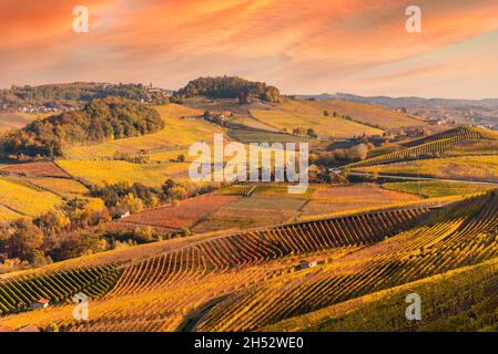 Paysage sur les collines de la région de Barolo, Langhe, Italie, avec les vignobles fins de Nebbiolo raisins en automne sur un ciel aux couleurs chaudes de coucher de soleil Banque D'Images