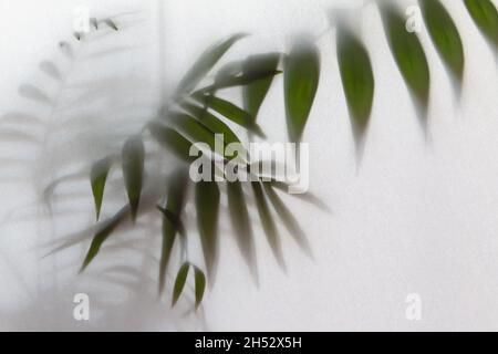 effet de brouillard de la paume floue laisse des silhouettes derrière le verre dépoli avec rétroéclairage Banque D'Images