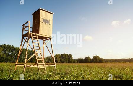 Les cerfs en bois et les aveugles de chasse au sanglier se tiennent sur un terrain au coucher du soleil. Banque D'Images