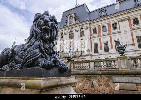 Sculpture de lion en face du château dans la ville de Pszczyna dans la région de Silésie en Pologne Banque D'Images