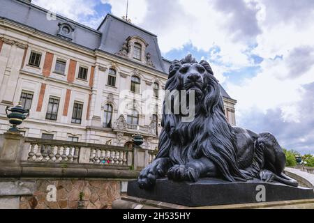 Sculpture de lion en face du château dans la ville de Pszczyna dans la région de Silésie en Pologne Banque D'Images