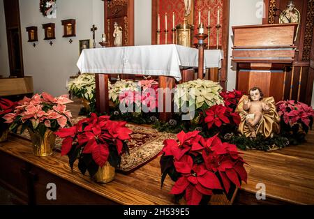 Église catholique Saint-Joseph décorée de poinsettias et du bébé Jésus autour de l'autel le jour de Noël. Banque D'Images