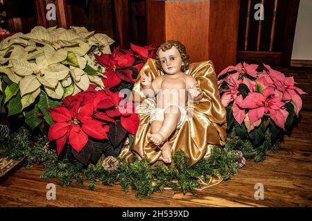 Bébé Jésus parmi les poinsettias sur l'autel à l'église catholique Saint-Joseph le matin de Noël. Banque D'Images