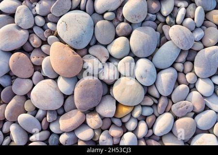 Plusieurs tailles différentes de galets de plage et de galets multicolores sur une plage de galets Royaume-Uni Banque D'Images