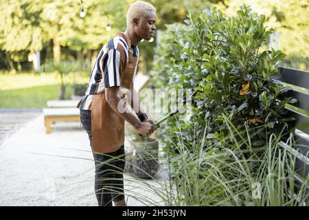 L'homme coupe la plante avec des ciseaux de jardinage dans le jardin Banque D'Images