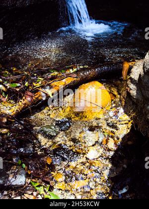Pierre d'or sous le ruisseau d'eau courante Banque D'Images