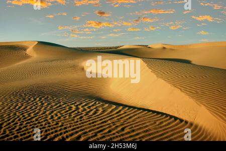 Dunes de sable dans le désert arabe Banque D'Images