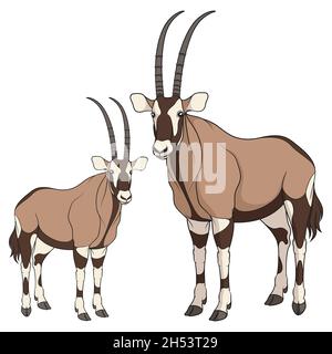 Jeu d'illustrations en couleur avec antilope d'oryx.Objets vectoriels isolés sur fond blanc. Illustration de Vecteur