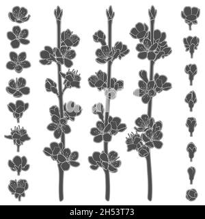 Ensemble d'images en noir et blanc avec branches de printemps en fleur.Objets vectoriels isolés sur fond blanc. Illustration de Vecteur