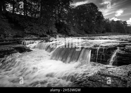 Image en noir et blanc d'une partie des chutes d'Aysgarth à Wensleydale, dans le Yorkshire.Montrant la rivière Ure qui coule sur de nombreuses chutes d'eau.Personne. Banque D'Images