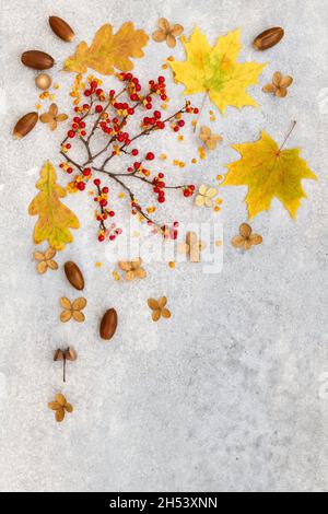 Motif automnal décoratif avec feuilles mortes, glands et fruits loach sur fond gris Banque D'Images