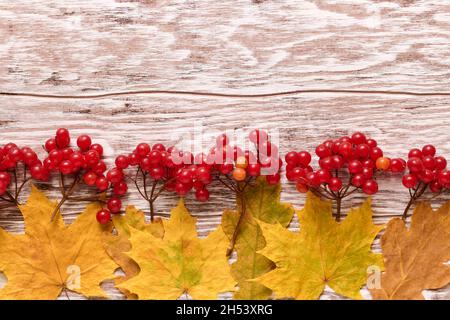 Des petits pains mûrs doux viburnum et des feuilles tombées sur un fond en bois avec un espace de copie Banque D'Images