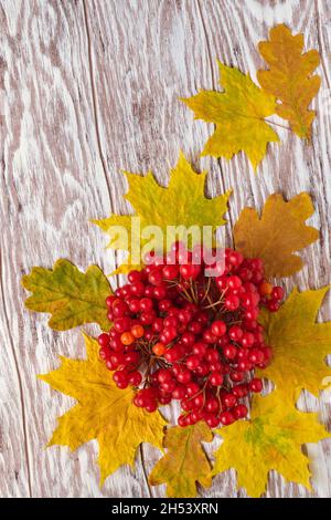 Lit le viburnum sur un arrière-plan en bois avec espace de copie, faible profondeur de champ Banque D'Images