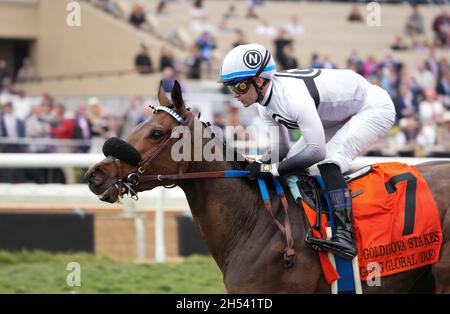 Del Mar, CA, États-Unis.6 novembre 2021.Going Global (IRE), monté par Flavien Prat, remporte les enjeux de Goldikova lors du championnat de la coupe des éleveurs samedi au Del Mar Thoroughbred Club le 6 novembre 2021 : à Del Mar, en Californie.Shamela Hanley/coupe des éleveurs/Eclipse Sportswire/CSM/Alamy Live News Banque D'Images