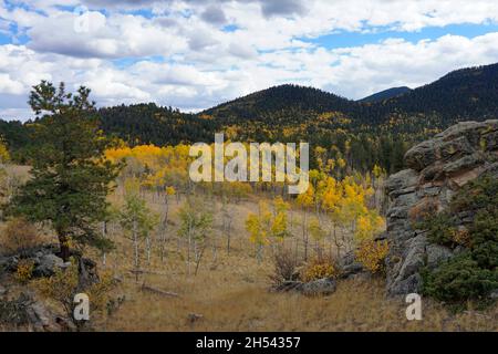 Wilkerson traversez les montagnes du Colorado.Des plumes jaunes en automne sur les collines avec ciel bleu et nuages blancs au-dessus. Banque D'Images