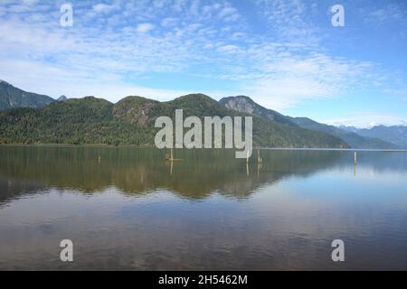 Le lac Pitt, l'un des plus grands lacs de marée au monde, et les montagnes de la chaîne Garibaldi, près de Pitt Meadows, Colombie-Britannique, Canada. Banque D'Images