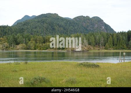 Les montagnes côtières et la forêt le long de la rivière Pitt et du parc régional de Widgeon Marsh, près de Pitt Meadows, Colombie-Britannique, Canada. Banque D'Images