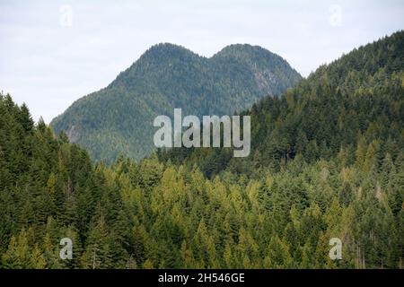 Les montagnes côtières et la forêt le long de la rivière Pitt et du lac Pitt, près de Pitt Meadows, Colombie-Britannique, Canada. Banque D'Images