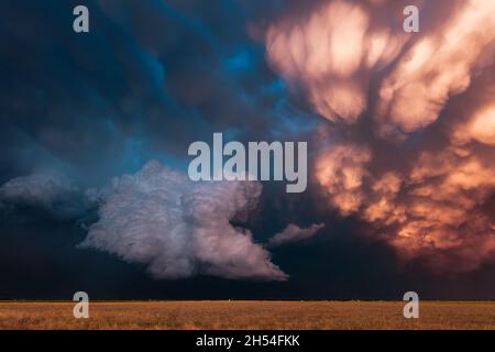 Un ciel dramatique et orageux au coucher du soleil avec des nuages de mammatus sur un champ à Lubbock, Texas Banque D'Images