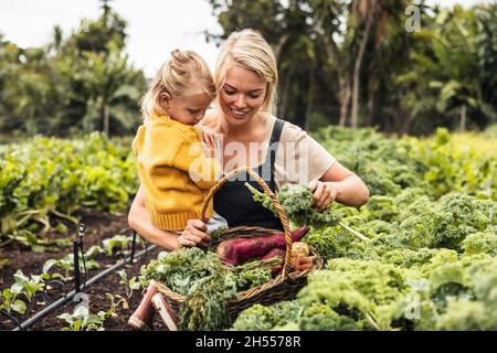 Bonne jeune mère transportant sa fille tout en cueillant des légumes dans un jardin biologique.Une mère qui rassemble du kale frais dans un panier.Autonome Banque D'Images