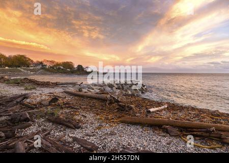 Coucher de soleil ciel au-dessus du détroit de Juan de Fuca Pacific Ocean Beach dispersé Driftwood à Dallas Road près du cimetière de Ross Bay, Victoria Colombie-Britannique Canada Banque D'Images