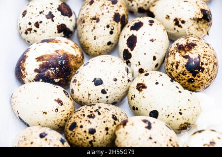 Gros plan d'œufs de caille sur fond blanc Banque D'Images