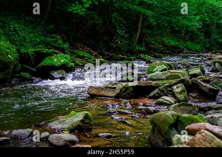 Randonnée avec Leila le Chihuahua à travers la vallée des serpents Fattendorf Basse-Bavière Allemagne Banque D'Images