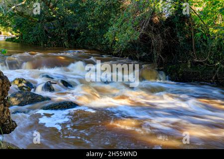 La rivière Syd, après de fortes pluies, traverse Sidford en route vers la mer à Sidmouth, Devon, Angleterre, Royaume-Uni Banque D'Images