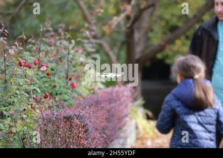 Une petite fille exploite un drone à distance dans la zone de vie Banque D'Images