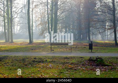 Matin d'automne dans un parc situé dans la ville d'Ilowa en Pologne.Le brouillard éclairé par les rayons du soleil levant s'élève entre les arbres du parc. Banque D'Images