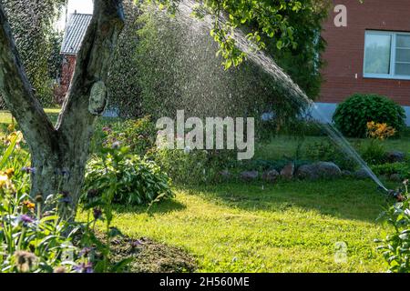 Jardin intelligent activé avec système d'arrosage automatique fonctionnant tôt le matin dans le parc vert arrosage pelouse Banque D'Images