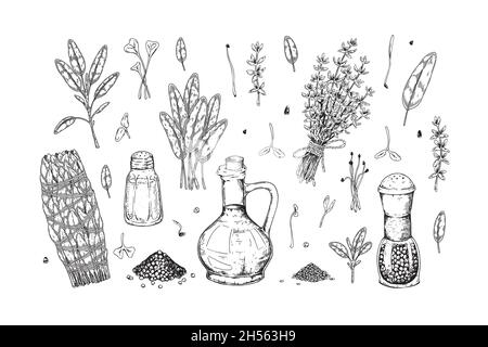 Ensemble de fines herbes et d'épices dessinées à la main.Illustration vectorielle dans le style d'esquisse Illustration de Vecteur