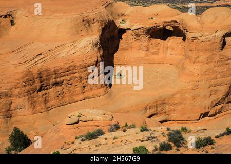 Vue sur le parc national Arches depuis le sentier jusqu'à Delicate Arch le jour ensoleillé de l'été | plante incroyable qui pousse sur une corniche couverte en haut de la formation de falaises de grès Banque D'Images