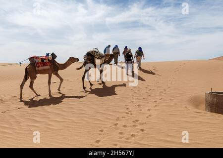 Province d'Errachidia, Maroc - 16 octobre 2015 : groupe de touristes et caravane de chameaux traversant les dunes de sable du désert du Sahara Banque D'Images