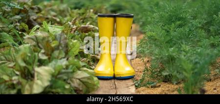 Un gros plan de bottes en caoutchouc jaune dans un beau jardin vert. Banque D'Images