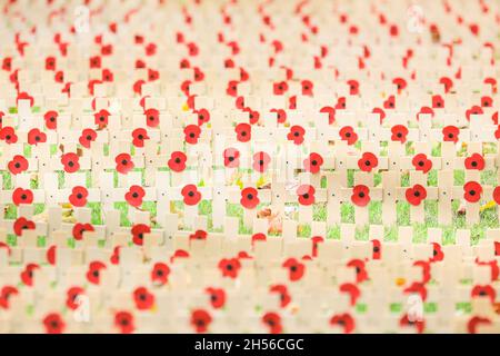 Westminster, Londres, Royaume-Uni.07th nov. 2021.Le champ du souvenir à l'extérieur de l'abbaye de Westminster prend forme lorsque des rangées et des rangées de petites croix d'hommage avec des coquelicots sont plantées dans la cour de l'abbaye.Chaque hommage porte un message personnel à quelqu'un qui a perdu la vie au service du pays.Le champ sera officiellement ouvert le jeudi 11 novembre.Credit: Imagetraceur/Alamy Live News Banque D'Images