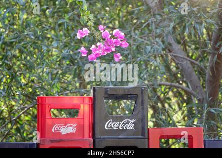 Almuñécar, Espagne; octobre-28, 2021: Boîtes de Coca-Cola rouges et noires empilées à l'extérieur près des fleurs de bouganvilla Banque D'Images