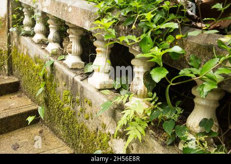 La nature contre la jungle de pierre.Vieux balustrade endommagé dans une maison abandonnée. Les balustres endommagés sont sombres du temps et du temps et couverts de fissures. g Banque D'Images