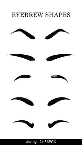 Formes de sourcils. Différents types de sourcils. Conseils de maquillage. Sourcils pour les femmes. Illustration de Vecteur