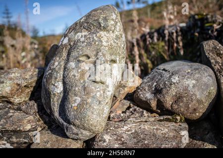 Œuvres d'art autour du Black Loch, Galloway Forest, Écosse Banque D'Images