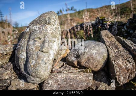 Œuvres d'art autour du Black Loch, Galloway Forest, Écosse Banque D'Images