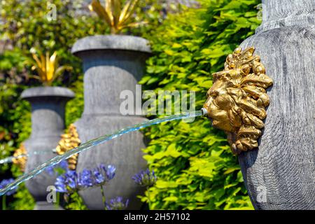 Tête de lion dorée sur des urnes en chêne vert en bois qui jaillissent de l'eau dans la fontaine, Collector Earl's Garden, Arundel Castle, Arundel, Royaume-Uni Banque D'Images